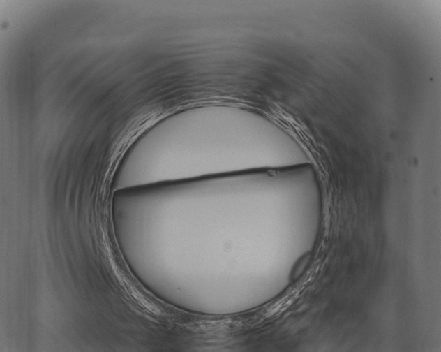 X0000062880049200601171458