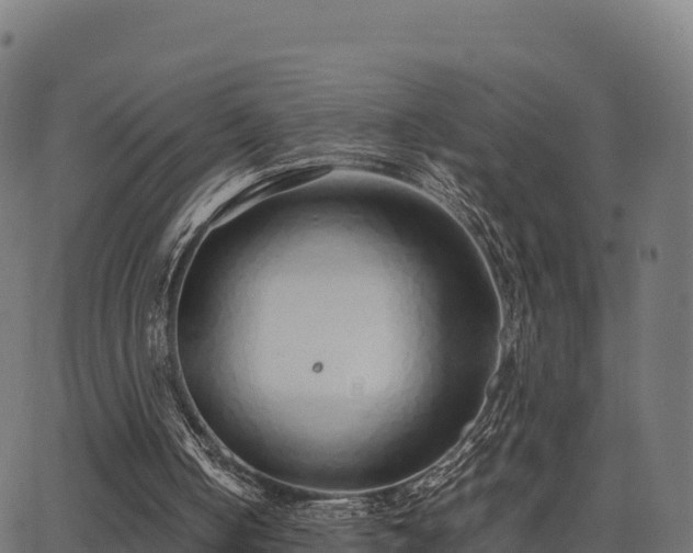 X0000062880050200601171458