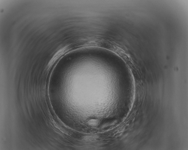 X0000062880051200601171458