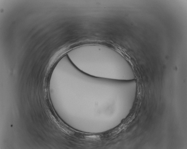 X0000062880053200601171458