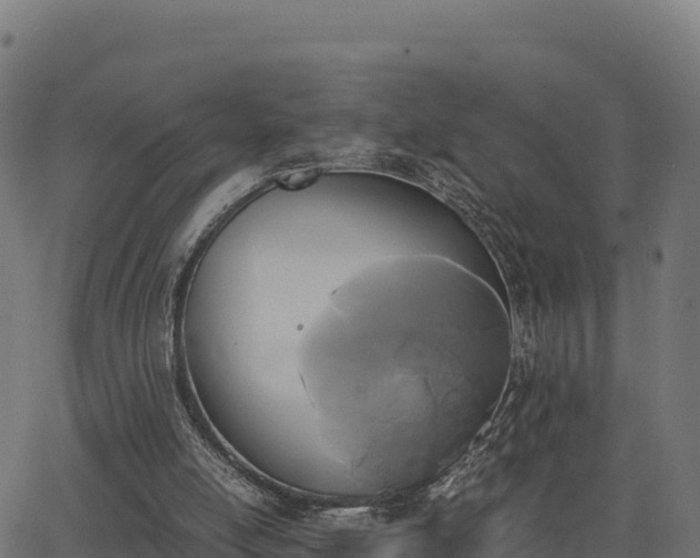 X0000062880054200601171458