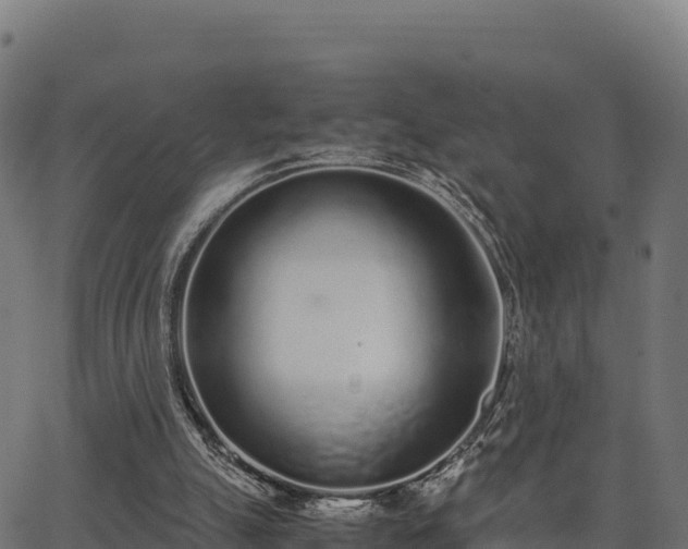 X0000062880055200601171458