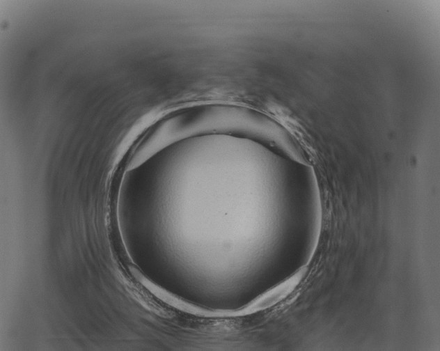 X0000062880056200601171458