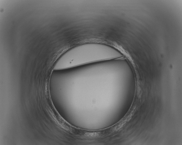 X0000062880057200601171458