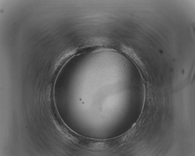 X0000062880058200601171458