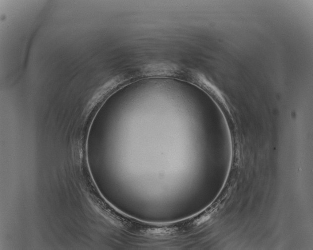 X0000062880059200601171458