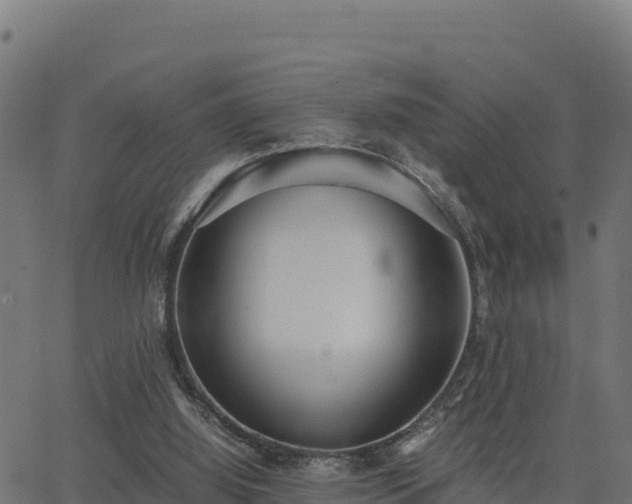 X0000062880060200601171458