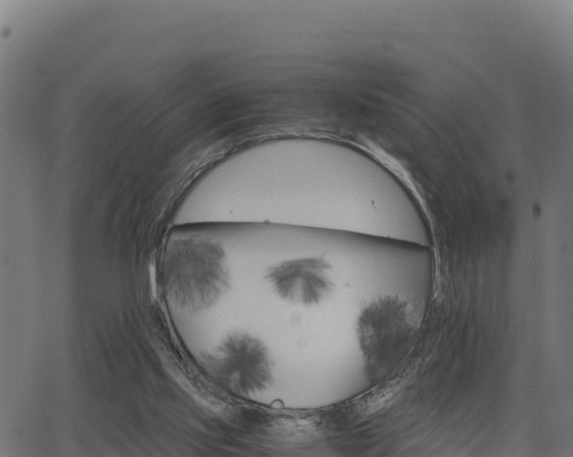 X0000062880061200601171458