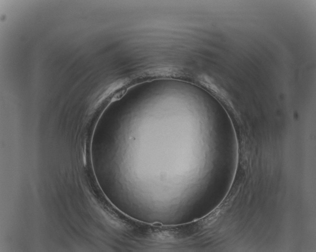 X0000062880062200601171458