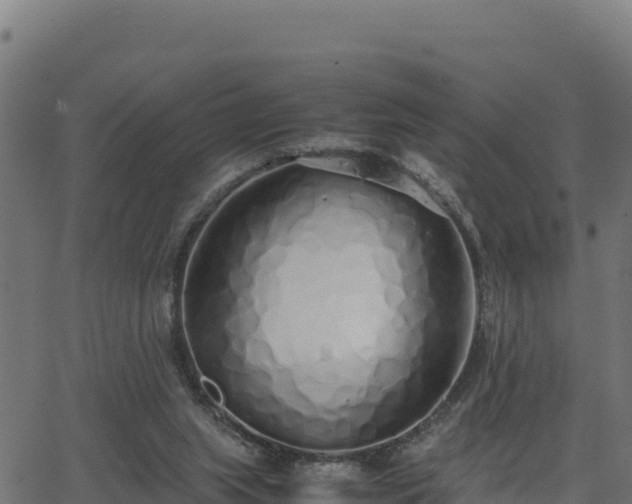 X0000062880063200601171458