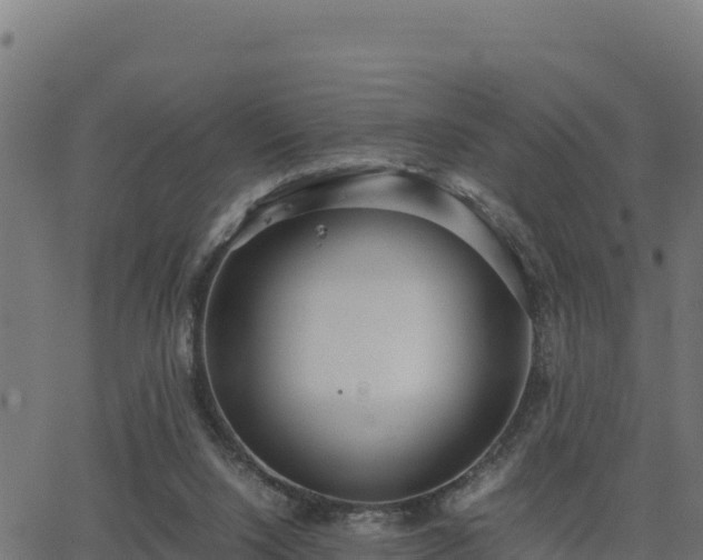 X0000062880064200601171458