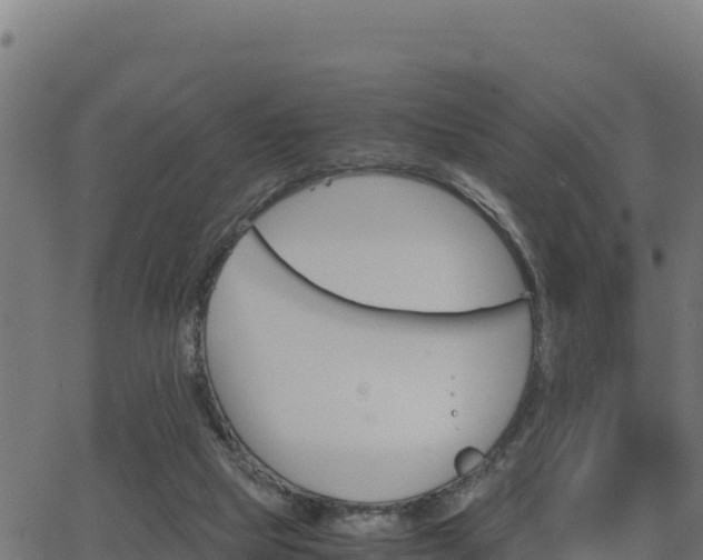 X0000062880065200601171458