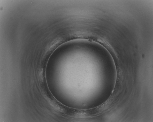 X0000062880066200601171458