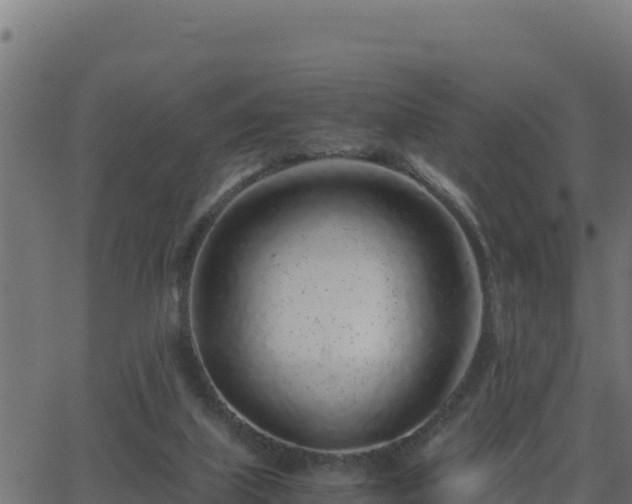 X0000062880067200601171458