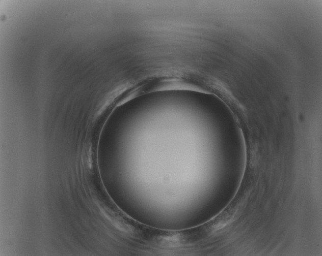 X0000062880068200601171458