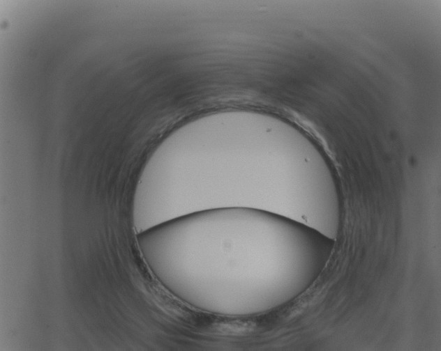 X0000062880069200601171458