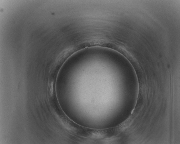 X0000062880070200601171458