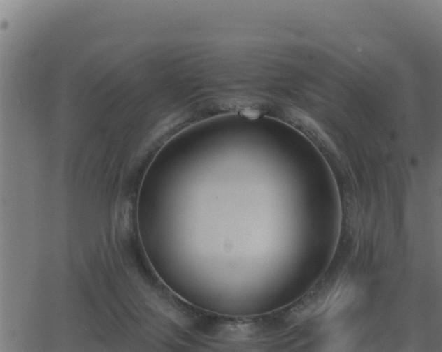 X0000062880071200601171458