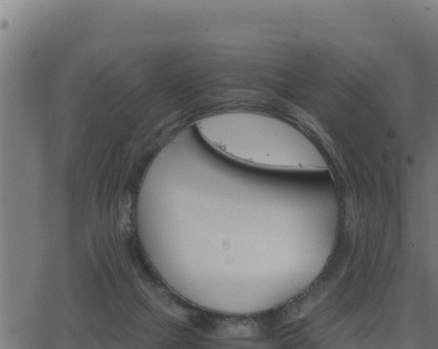 X0000062880073200601171458