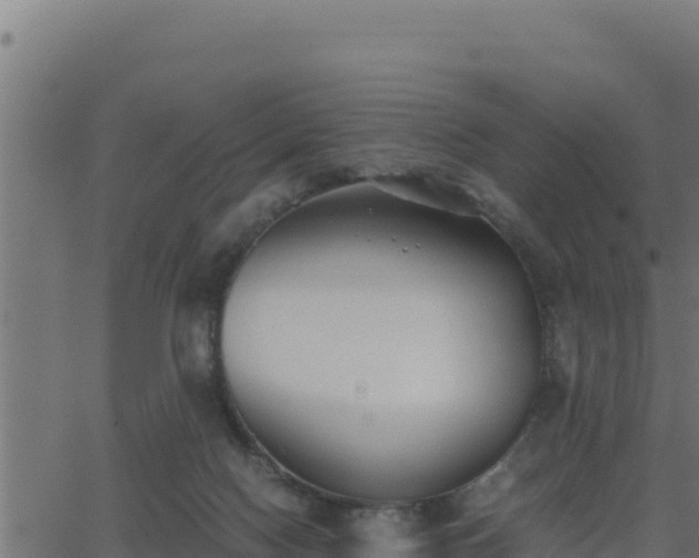 X0000062880074200601171458