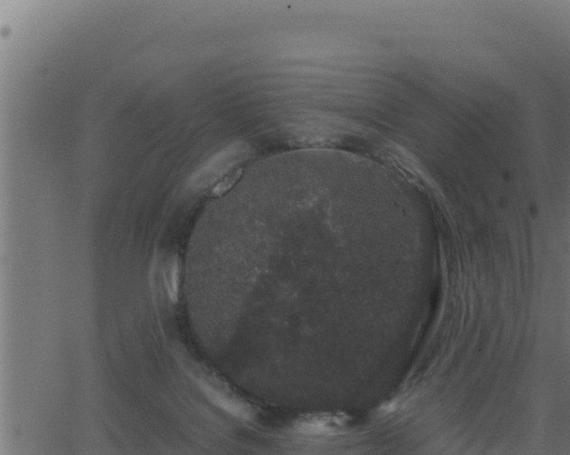 X0000062880076200601171458