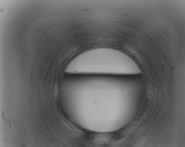 X0000062880077200601171458