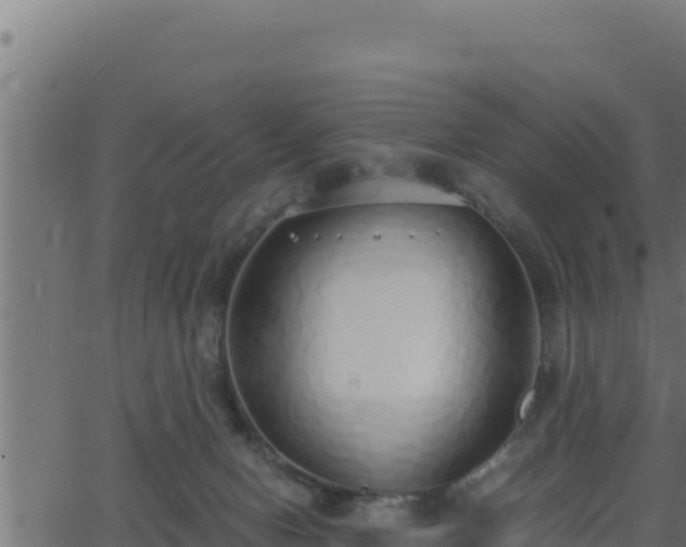 X0000062880078200601171458