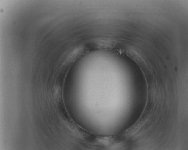 X0000062880079200601171458