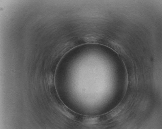 X0000062880081200601171458