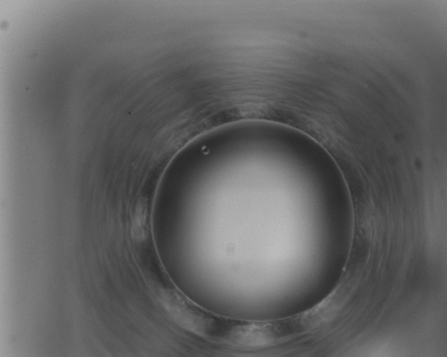 X0000062880082200601171458