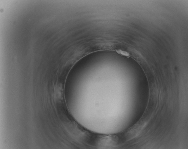 X0000062880083200601171458