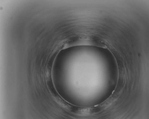 X0000062880084200601171458