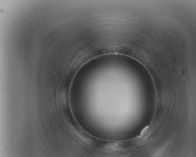 X0000062880086200601171458