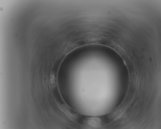 X0000062880087200601171458