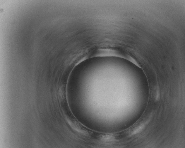 X0000062880088200601171458