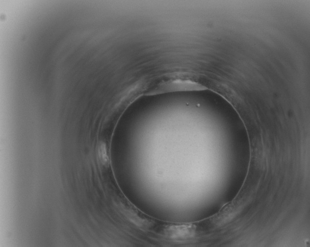 X0000062880089200601171459