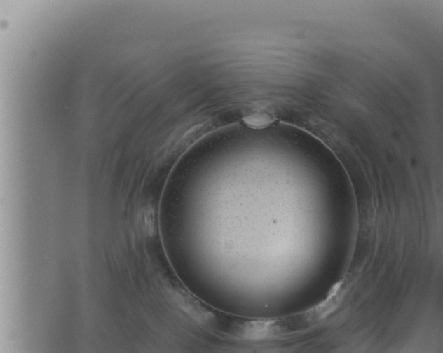 X0000062880090200601171459