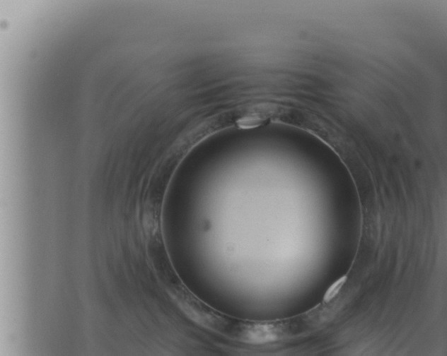 X0000062880091200601171459