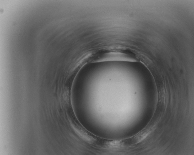 X0000062880092200601171459