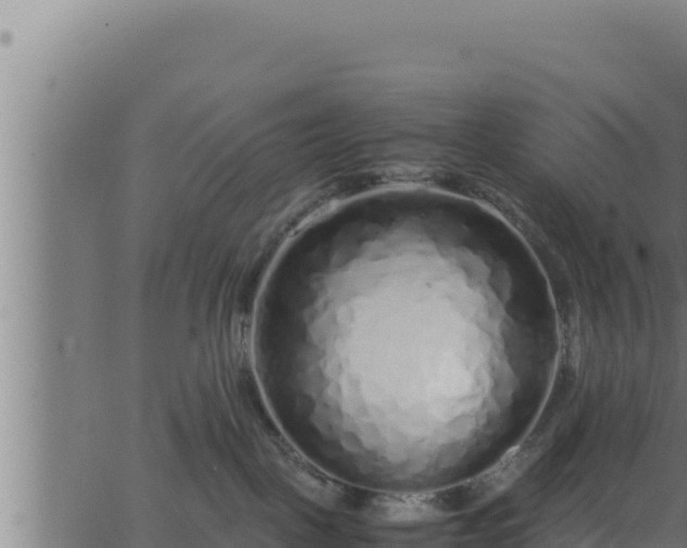 X0000062880093200601171459