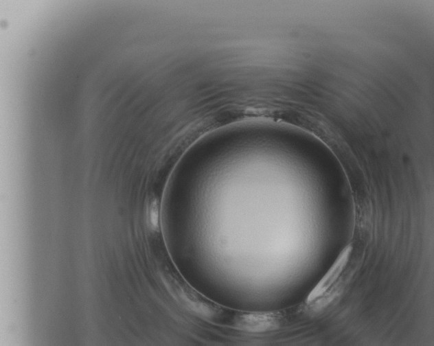 X0000062880095200601171459