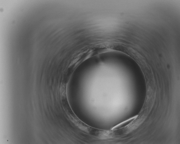 X0000062880096200601171459