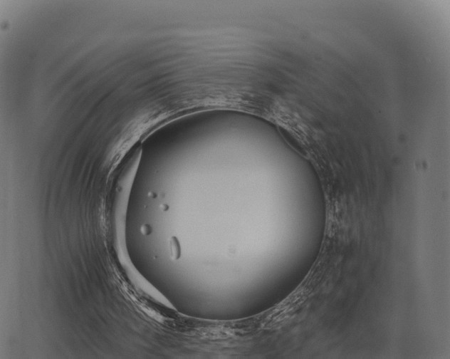 X0000062880098200601171458