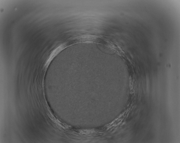 X0000062880099200601171458