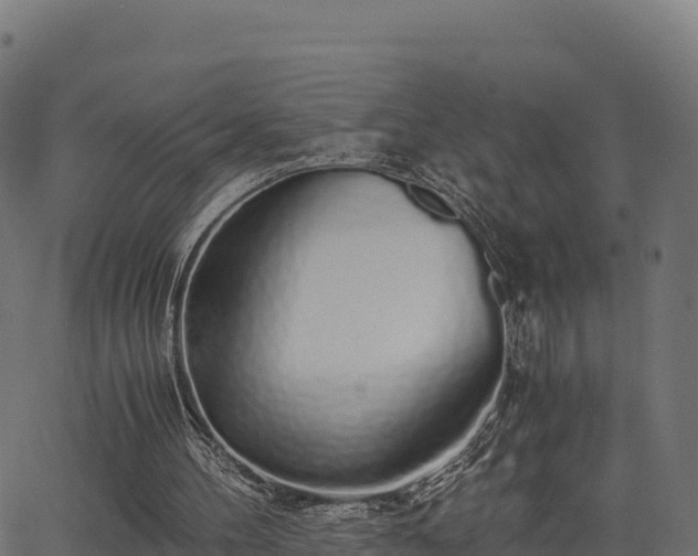 X0000062880100200601171458