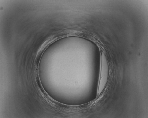 X0000062880101200601171458