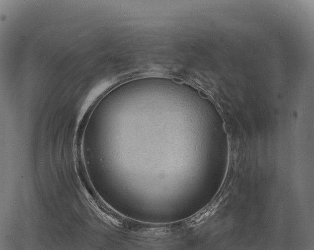 X0000062880102200601171458