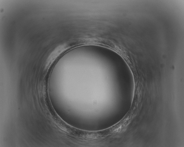 X0000062880103200601171458