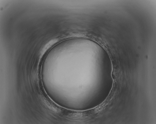 X0000062880104200601171458