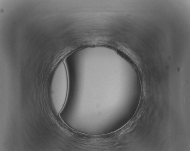 X0000062880105200601171458